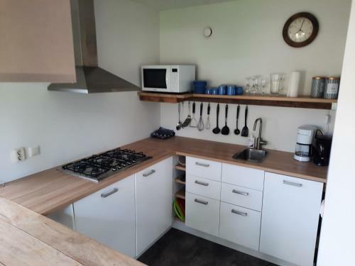 Holiday Home de Witte Raaf With Garden And Hottub