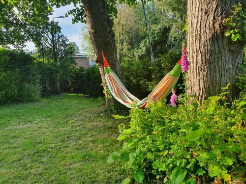 Cottage In Secluded Garden Near Centre Rotterdam