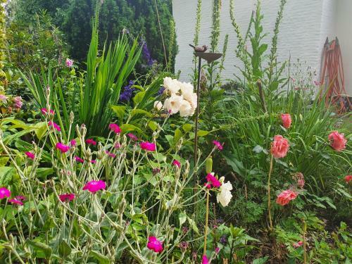 Cottage In Secluded Garden Near Centre Rotterdam