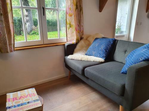 Cottage In Secluded Garden Near Centre Rotterdam