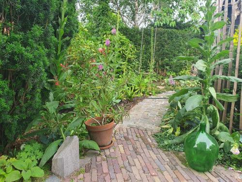 Cottage In Secluded Garden Near Centre Rotterdam