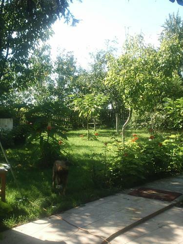 Apartamento �rnyas Vend�gh�z