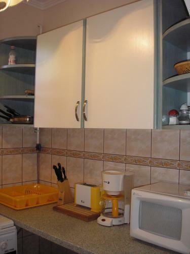 Kaktuszvir�g Apartmanh�z