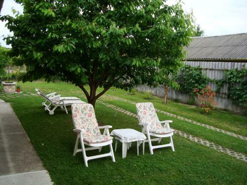 Apartamento K�tai Vend�gh�z