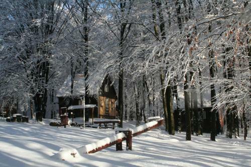 Lodge Dar�zshegyi Apartmanh�z