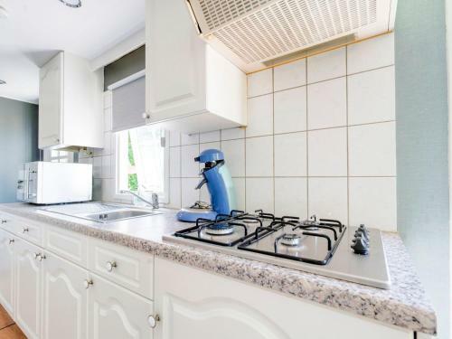 Charming Chalet In Stegeren Near Forest