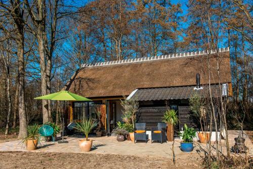 Dream-house Esveld