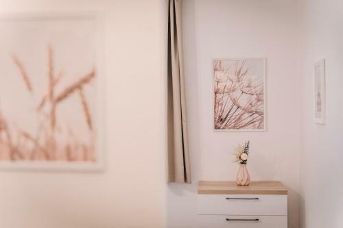 Hostal Soho Panzi� Superior