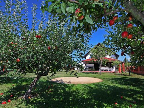 Villa Balatonkereszt�r 3