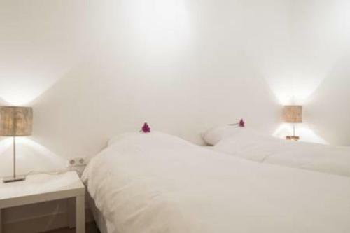 Apartamento 't Zandhuisje