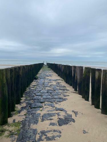 Borne 56a, Zoutelande