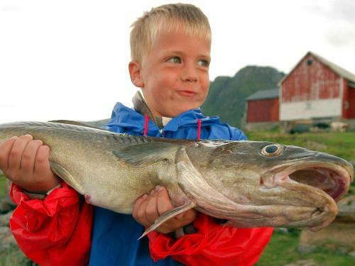 Two-bedroom Holiday Home In Engav�gen 2