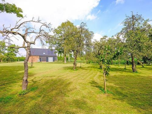 Luxurious Villa In Zwartewaal With Private Garden