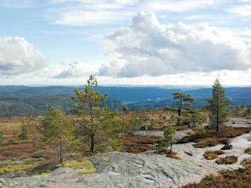 Holiday Home Skafjellstoga - Tem011