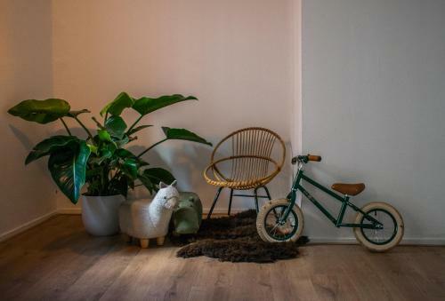 Apartamento Jantjes Lief Appartement