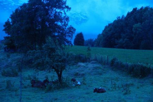 Orheimstunet - G�rdsferie For Storfamilien