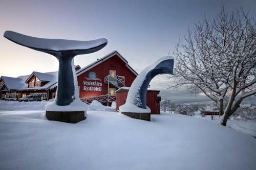 Norway Cabins And Camping Glamping