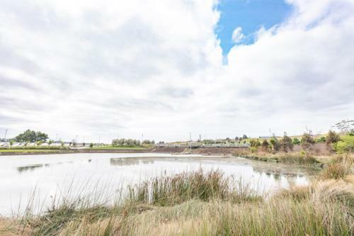 Large Four Bdr Apartment - Walk To Mallstadium