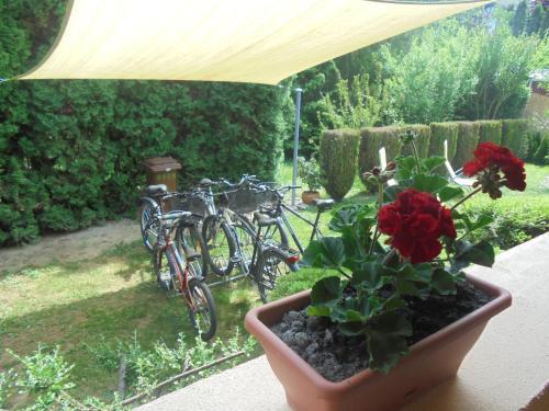Apartamento Forr�s-g Vend�gh�z