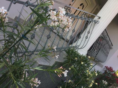 Bed & Breakfast Judit Vend�gh�z