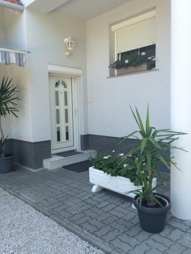 Bed & Breakfast Judit Vend�gh�z