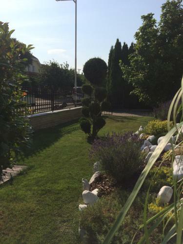 Bed & Breakfast Judit Vend�gh�z