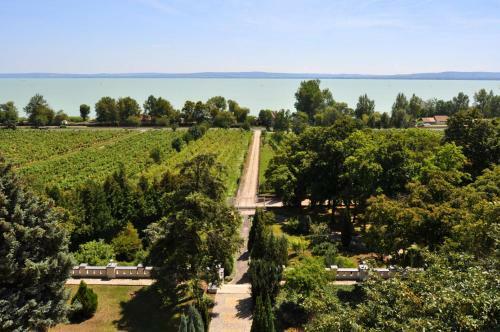Hotel Sir David Balaton Castle