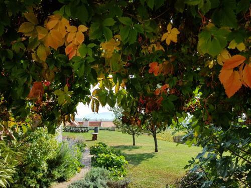 Hostal Koczor Winery & Guesthouse