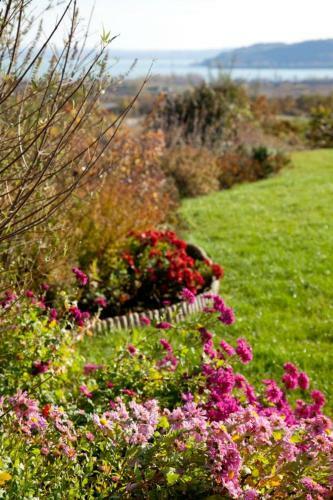 Hostal Koczor Winery & Guesthouse