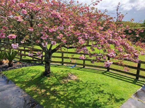 Bed & Breakfast Unique Equestrian Lifestyle