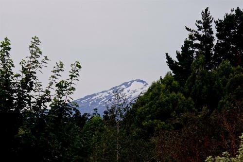 Woodlands - Ohakune Holiday Home