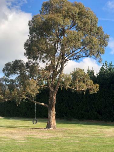 Ashburton Holiday Park