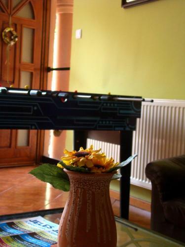 Hostal T�mea Vend�gh�z