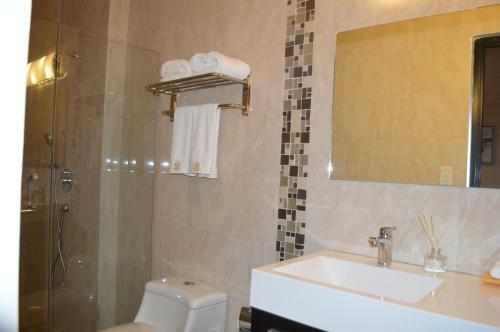 Hotel Crowner David