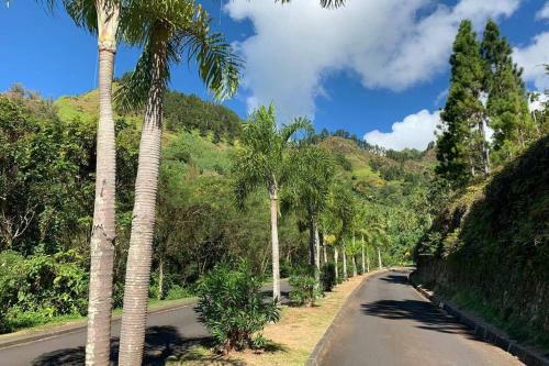 Luxurious Tropical Moorea Villa