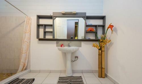 Hostal Pension Te Miti