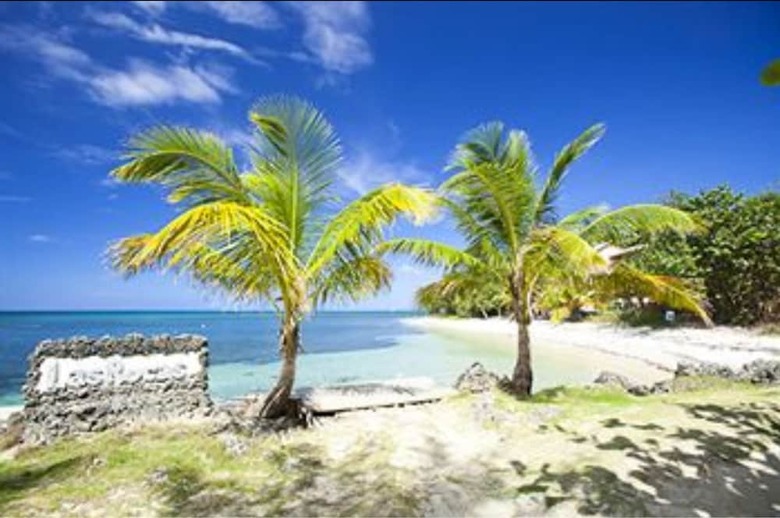 Hotel Las Rocas Resort And Dive Center