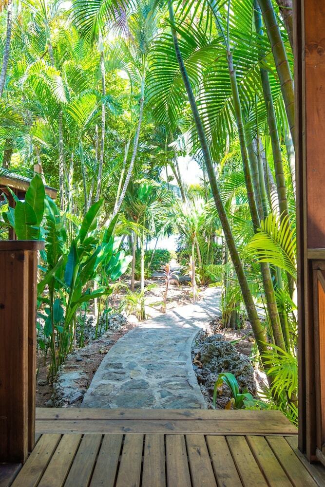 Hotel Las Rocas Resort And Dive Center