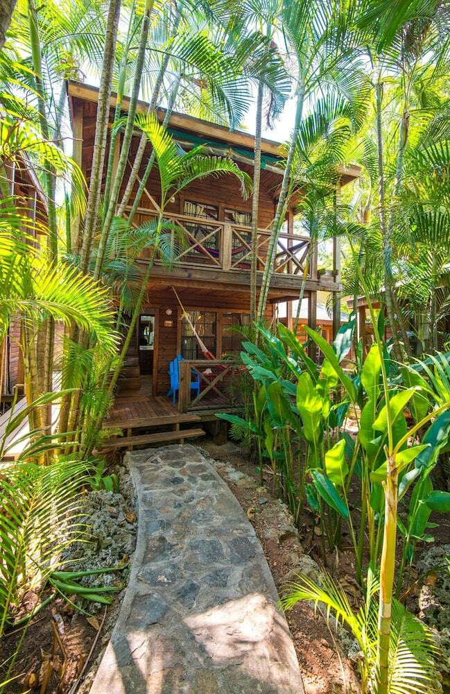 Hotel Las Rocas Resort And Dive Center
