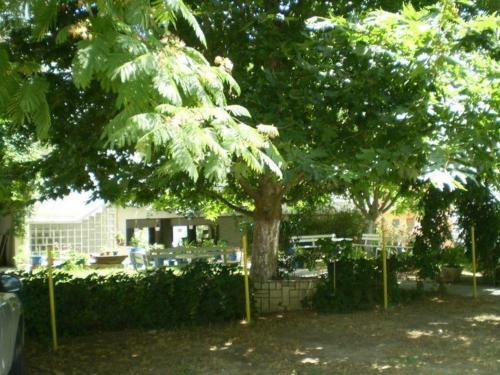 Apartamento Villa Ladopoulos