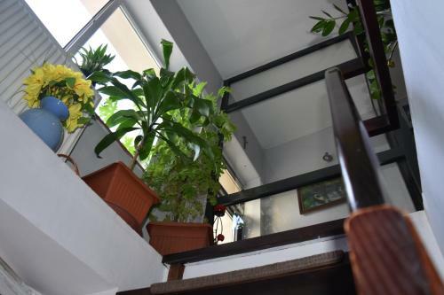 Baltic Hostel