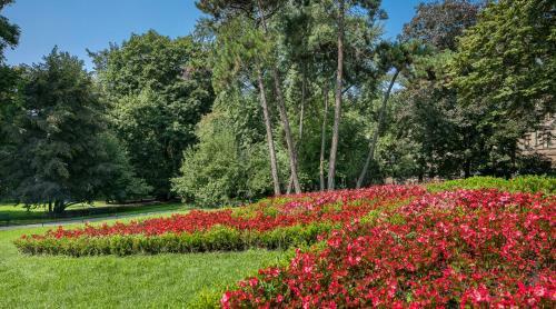 Terminal Krakow Apartments Next To The Main Square