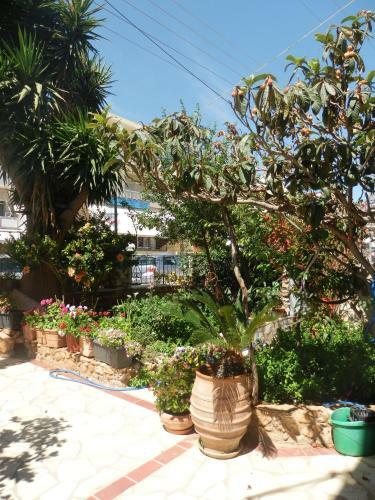 Apartamento Eleni Studios