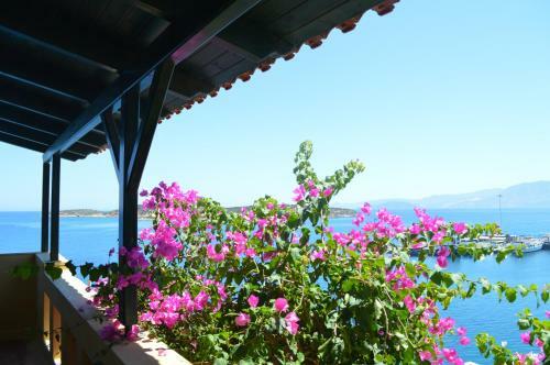 Angeliki's Apartments