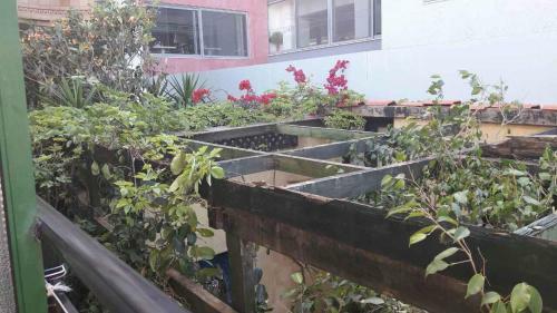 Angeliki's Apartments