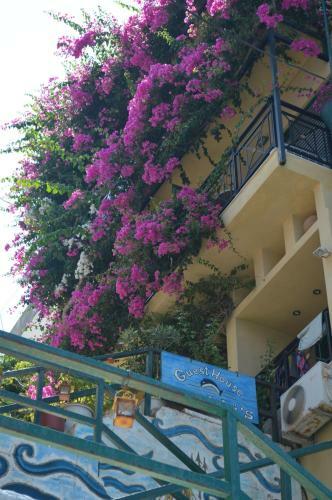 Angeliki's Apartments