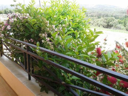 Helidonia Villas