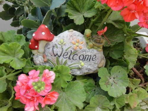 Hotel Montes Apartments & Studios