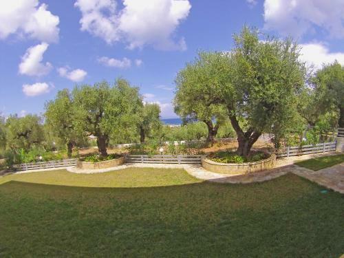 Pouliezos Koklanis Zante Apartments