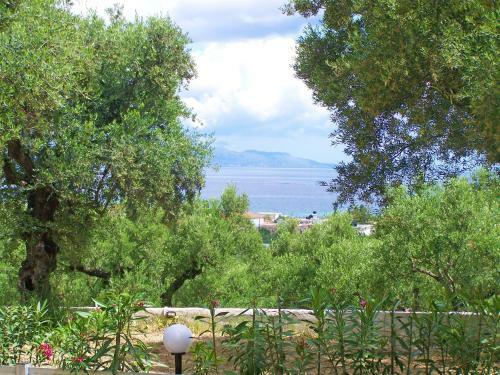 Pouliezos Koklanis Zante Apartments